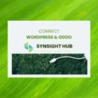 ¿Cómo conectar WordPress y Odoo?