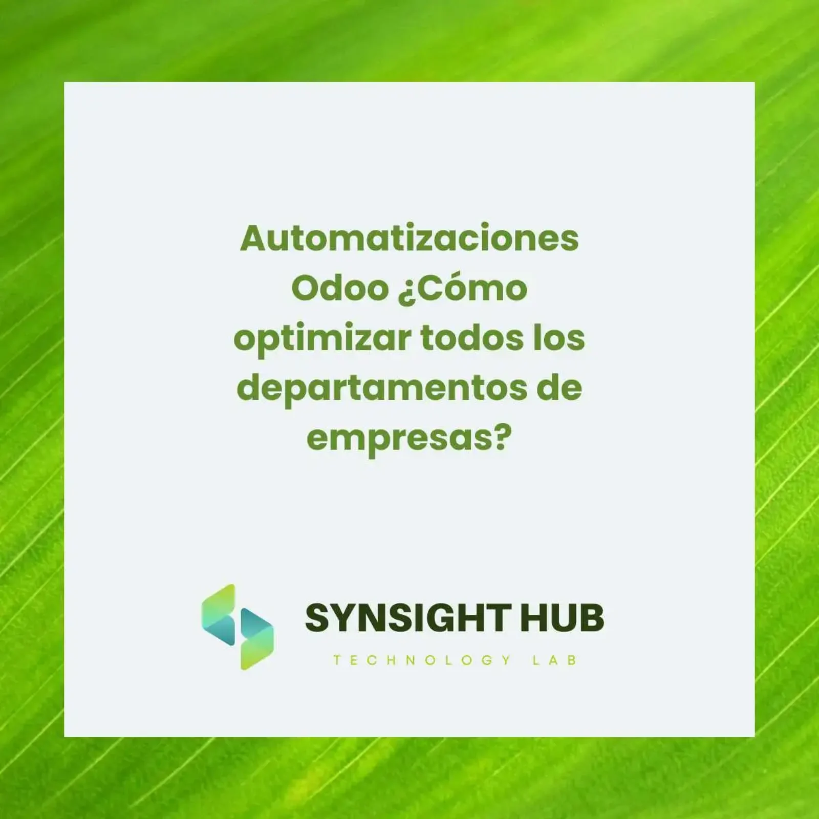 ¿Cómo optimizar todos los departamentos de empresas con Odoo?