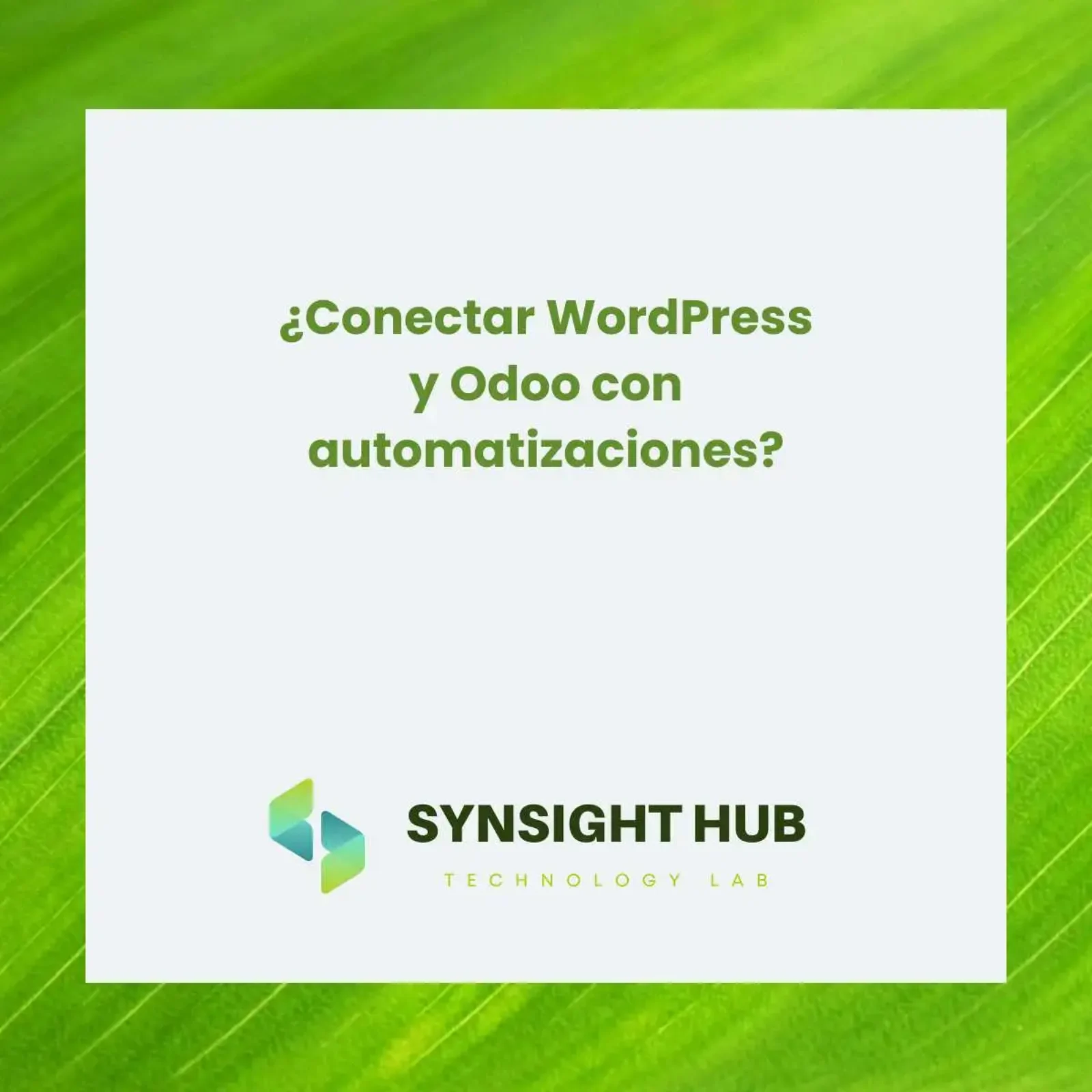 ¿Conectar WordPress y Odoo con automatizaciones?