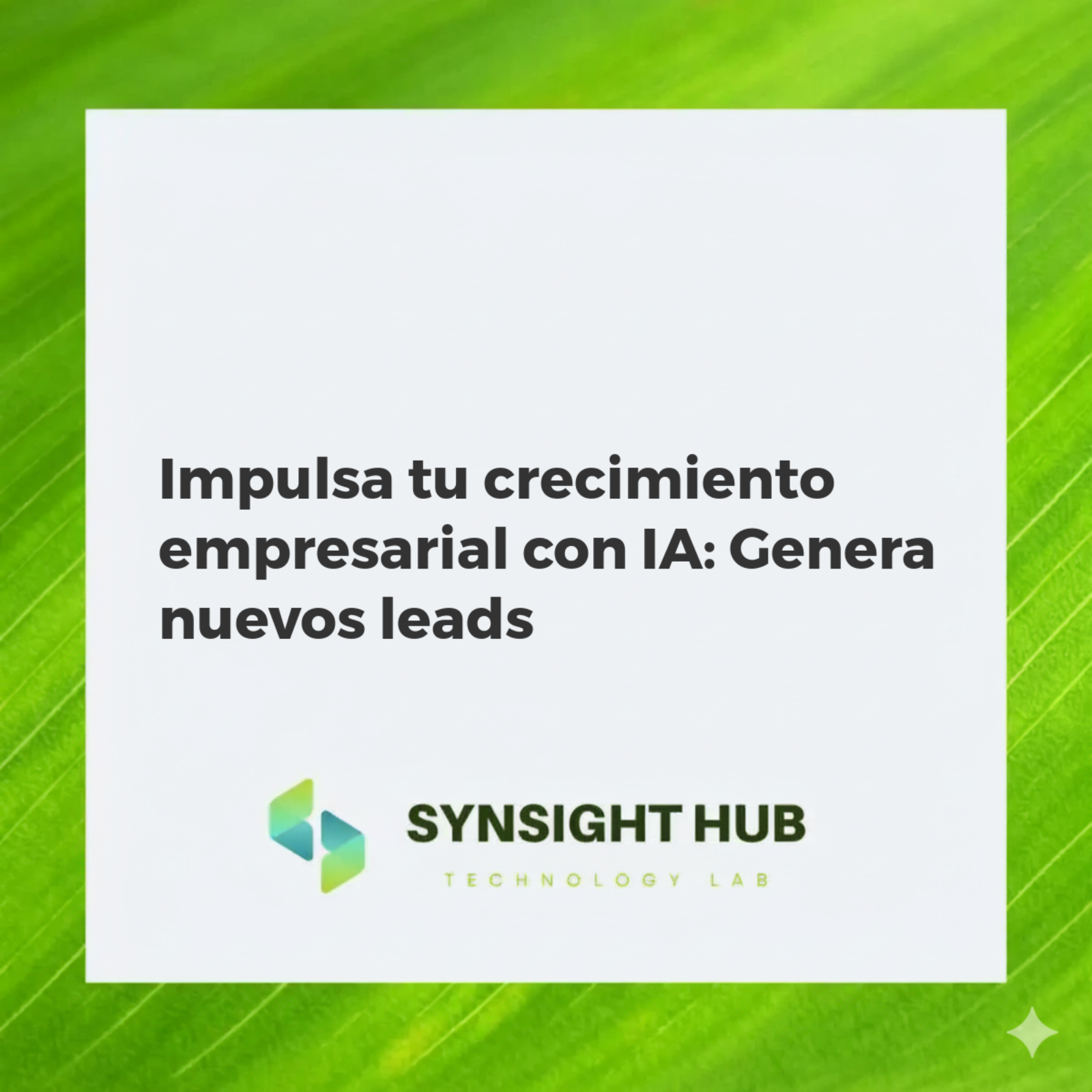 Inteligencia Artificial analizando datos para identificar leads B2B y potenciar el crecimiento empresarial.