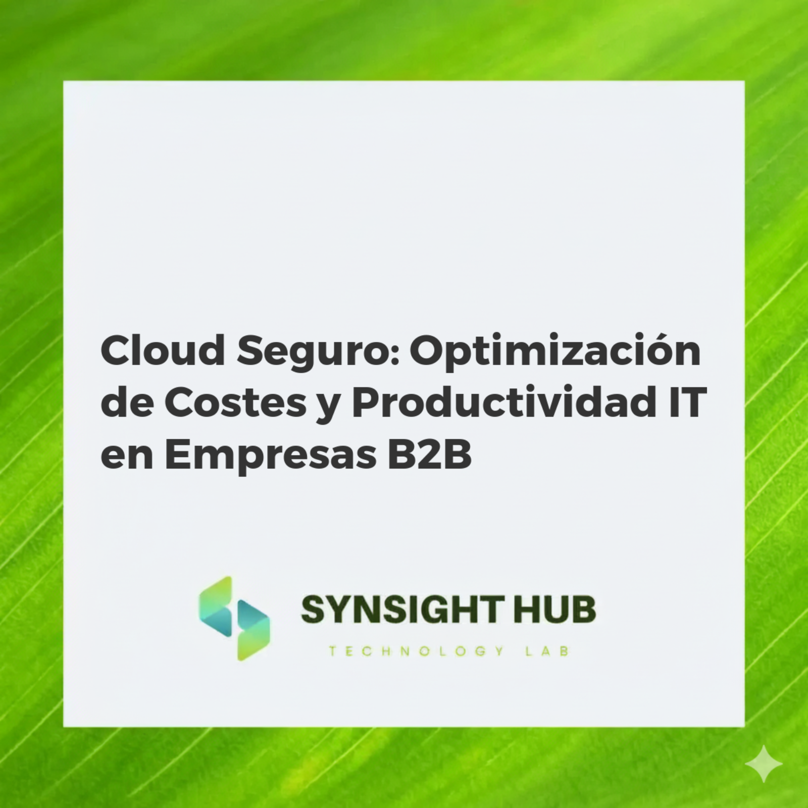 Representación visual de una infraestructura cloud segura, optimizando costes y potenciando la productividad IT empresarial.