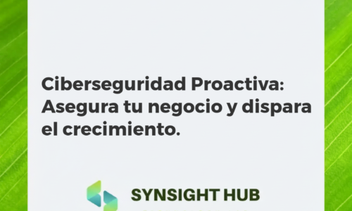 Ciberseguridad Proactiva: Asegura tu negocio y dispara el crecimiento.