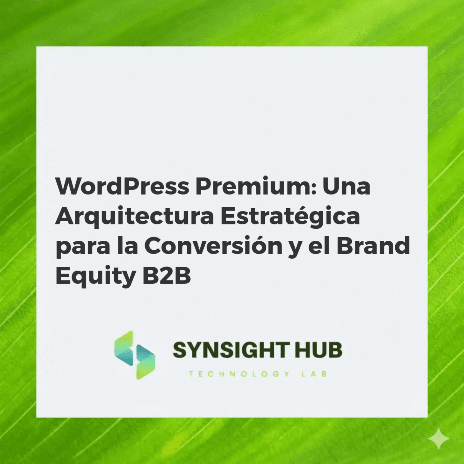 Ilustración estratégica de WordPress Premium impulsando conversión B2B y brand equity con automatización y datos